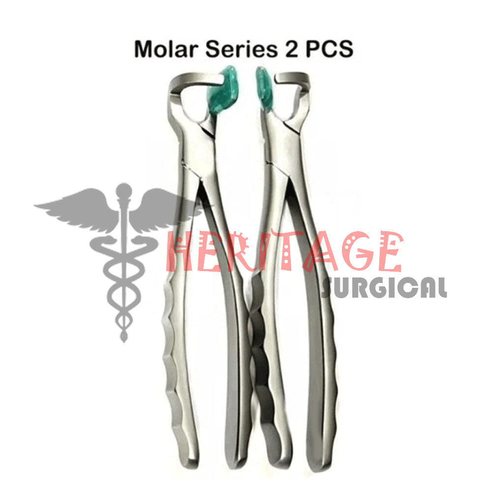 Dental Extraction Forceps Standard Series Set of 4 Pcs + 2 pcs Molar Series Set