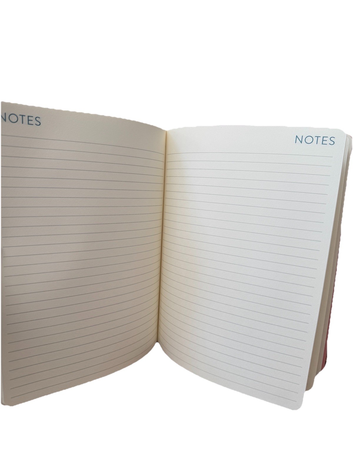 2026 Planner Orange Circle Studio Planner 12 Months Planner Jan-Dec 2026 10×8”