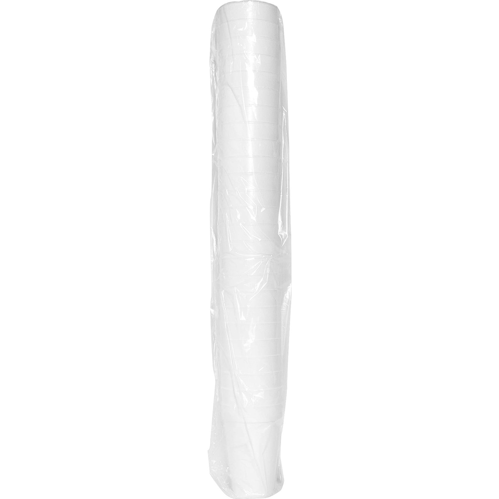 Hot/Cold 16oz Foam Cups (Pack of 500)