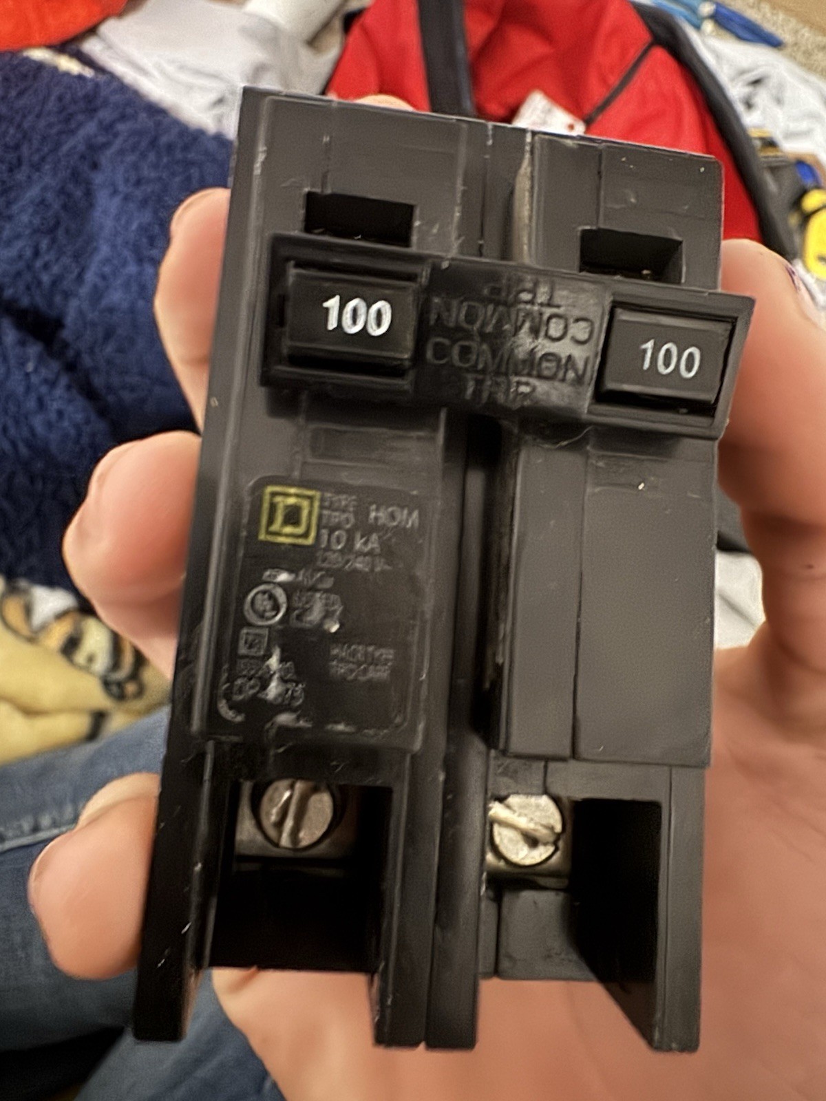 Square D HOM2100C 100 A Miniature Circuit Breaker