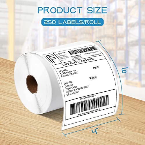 MFLABEL 20 Rolls of 250 4×6 Direct Thermal Blank Shipping Labels for Zebra 2844