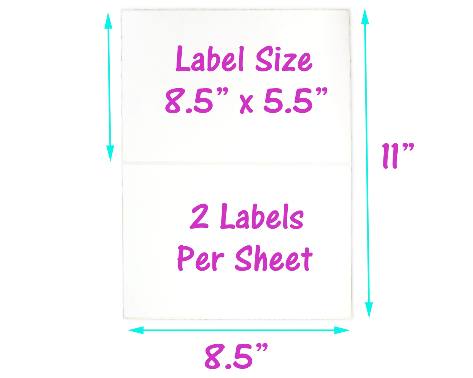 100 Pack, 50 10×13″ Flat Poly Mailers , 50 8.5×11 Blank Shipping Labels Combo