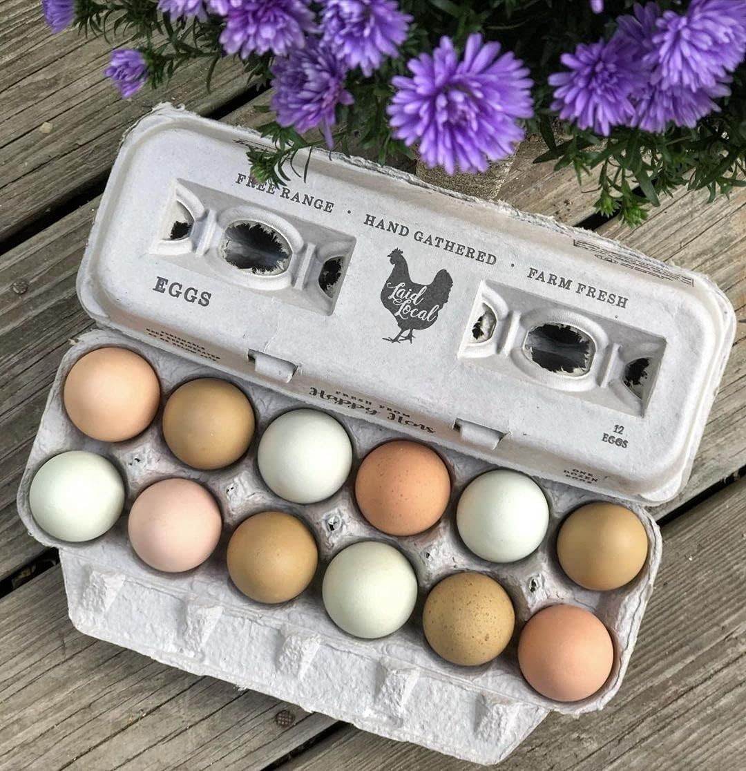 Bulk Egg Cartons – Recycled Cardboard, Sturdy