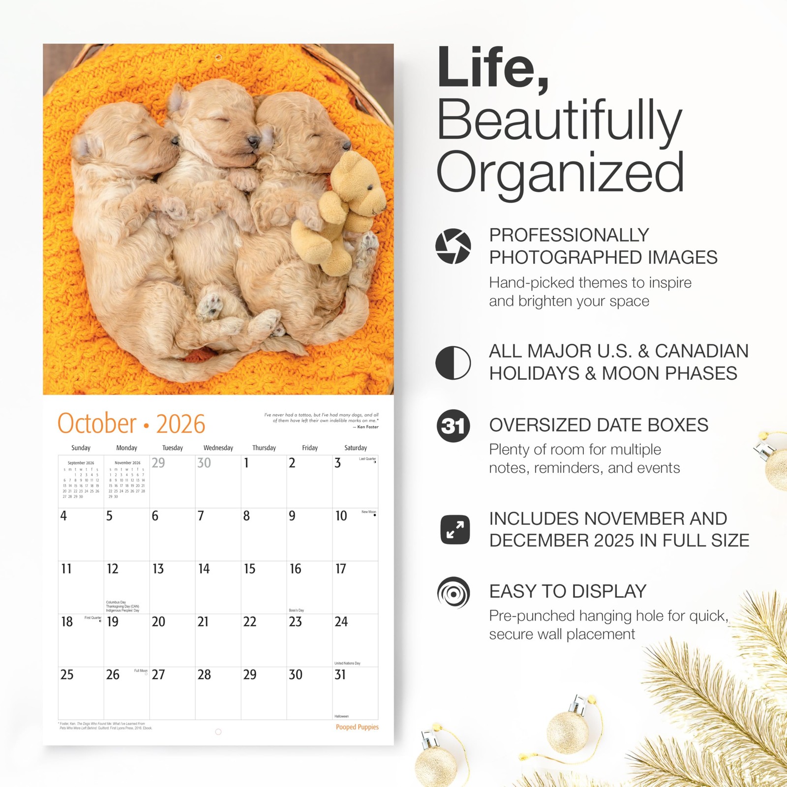 RED EMBER Pooped Puppies 2026 Wall Calendar 12 New 2026, 03