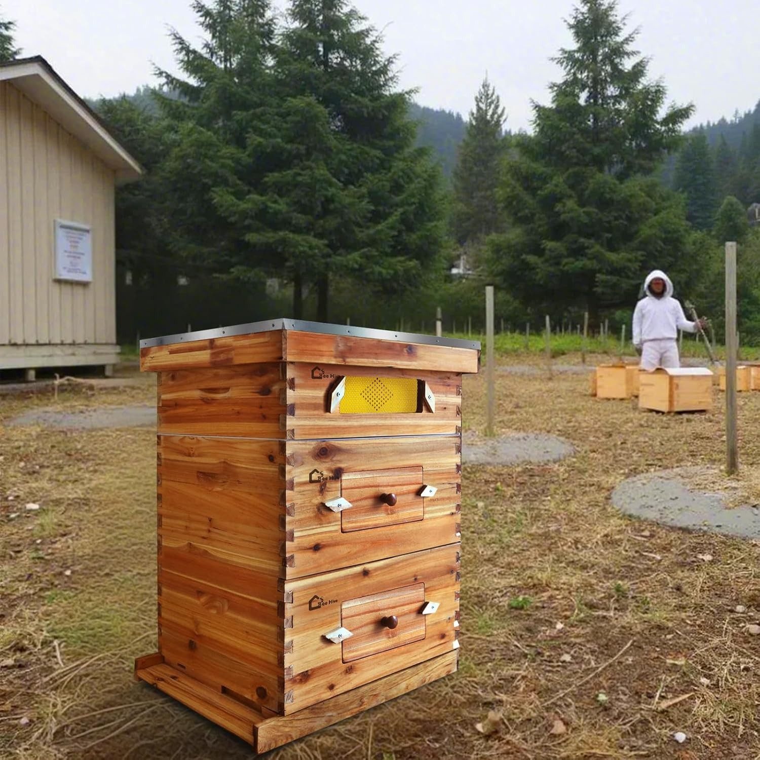 10 Frame Bee Hive Kit with Beeswax Coating, 2 Deep & 1 Medium Box for Beginners