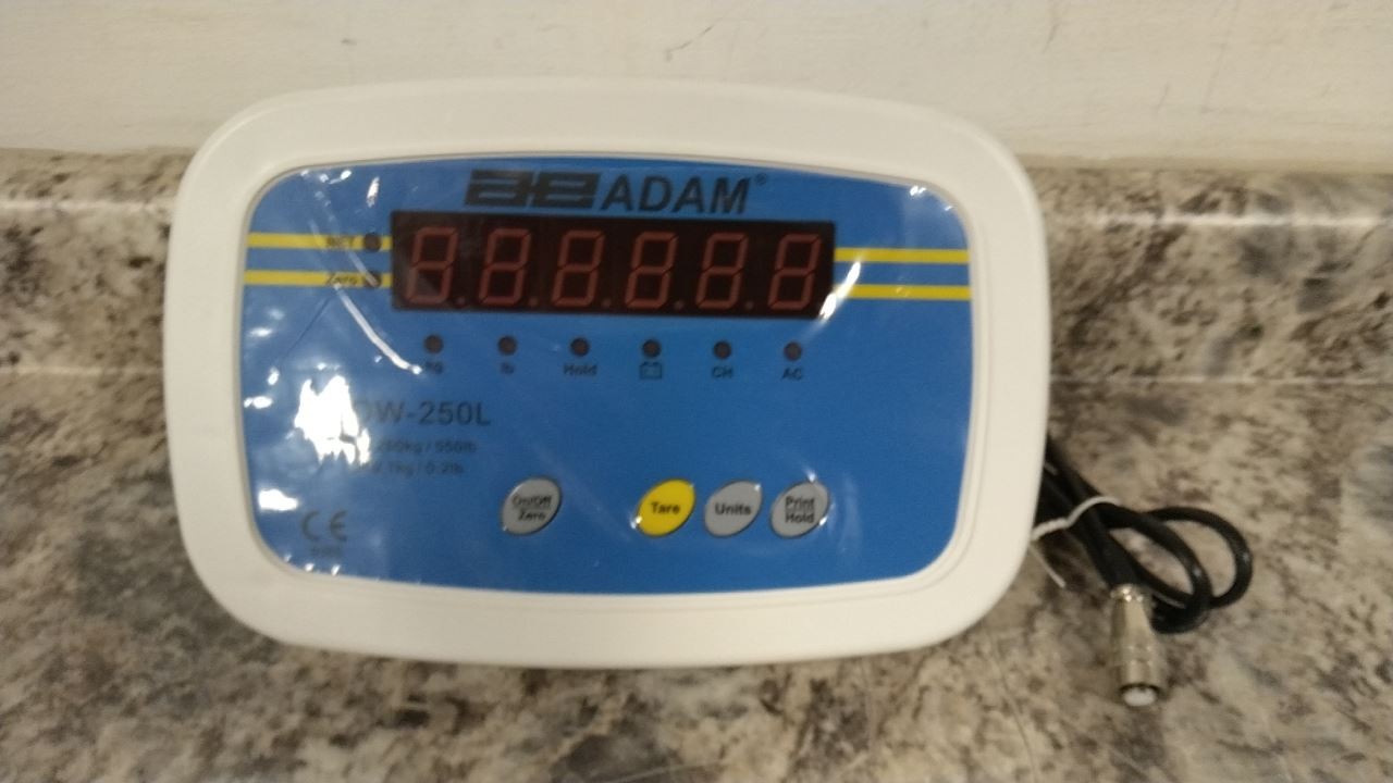 Adam Equipment MDW-250L 550 Lb Capacity Digital Physician Scale