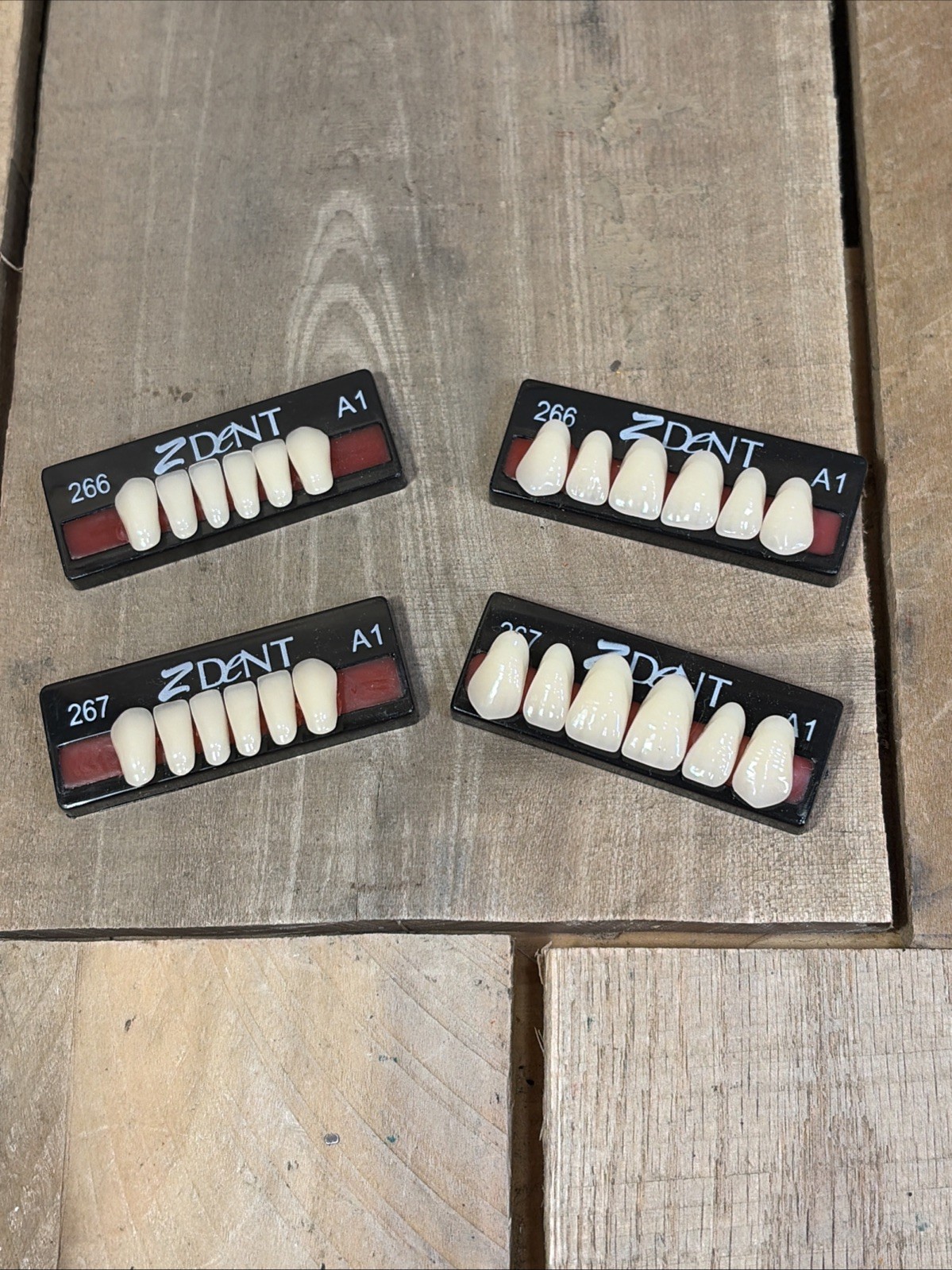 Z dent Synthetic Polymer False Teeth 2 Sets of 12 for 24 Total Size 266 267 A1