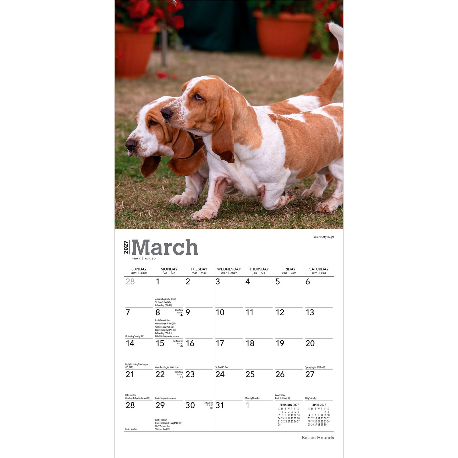 Basset Hounds | 2027 7×14″ (Hanging) Monthly Mini Wall Calendar