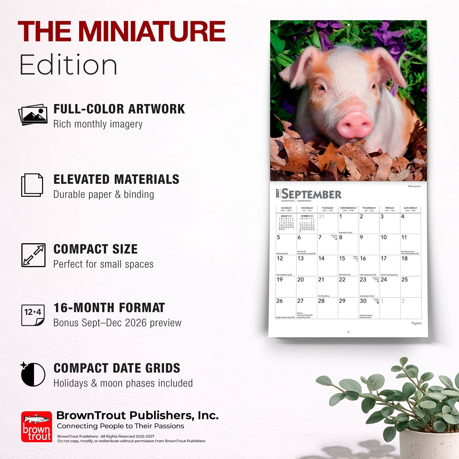 Piglets | 2027 7×14″ (Hanging) Monthly Mini Wall Calendar