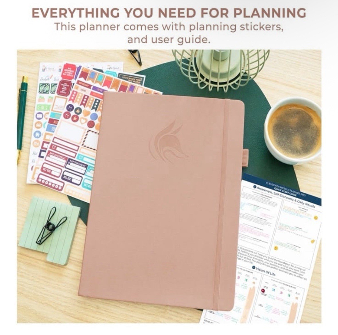 Clever Fox | PRO Dated Hourly Weekly Planner 2026 | A4 8.5×11 | Rose Gold | NWT