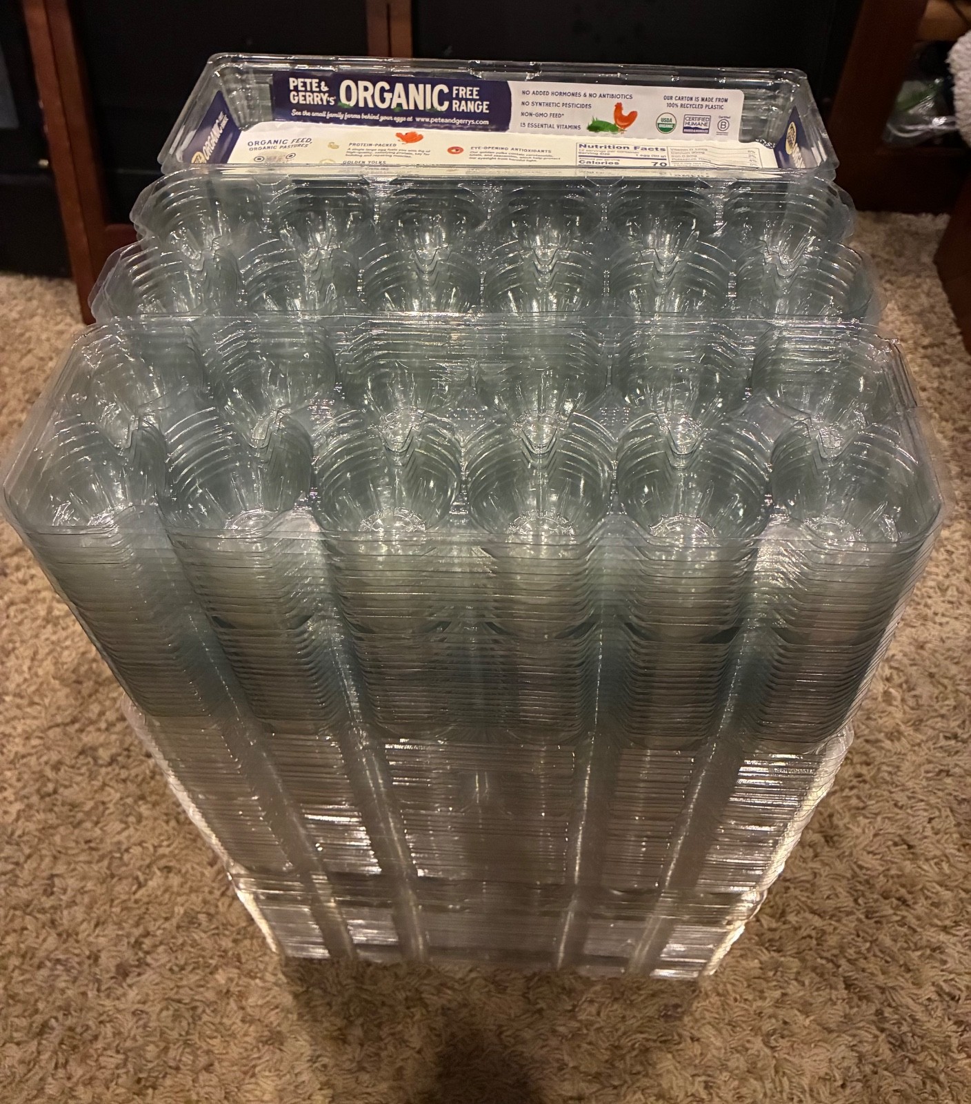 Empty Egg Cartons | Holds 12 Large Eggs – Lot of 50