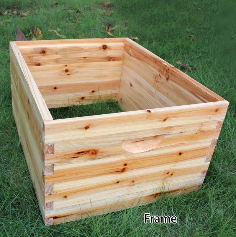 Auto Drain Honey Bee Hive Bee Boxes Beehive Starter Kit +7 Beekeeping Frames New
