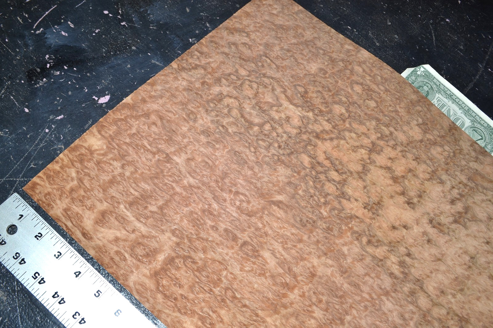Eucalyptus Burl Raw Wood Veneer Sheet 15 x 18 inches 1/42nd 7659-33