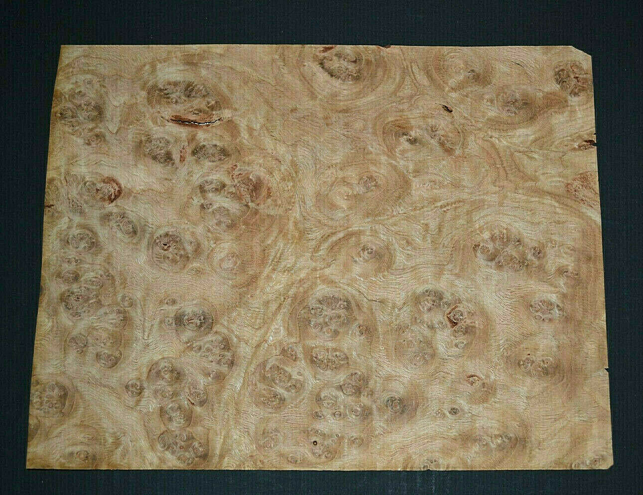 Oak Burl Raw Wood Veneer Sheet 7.5 x 10 inches 1/42nd 7685-50