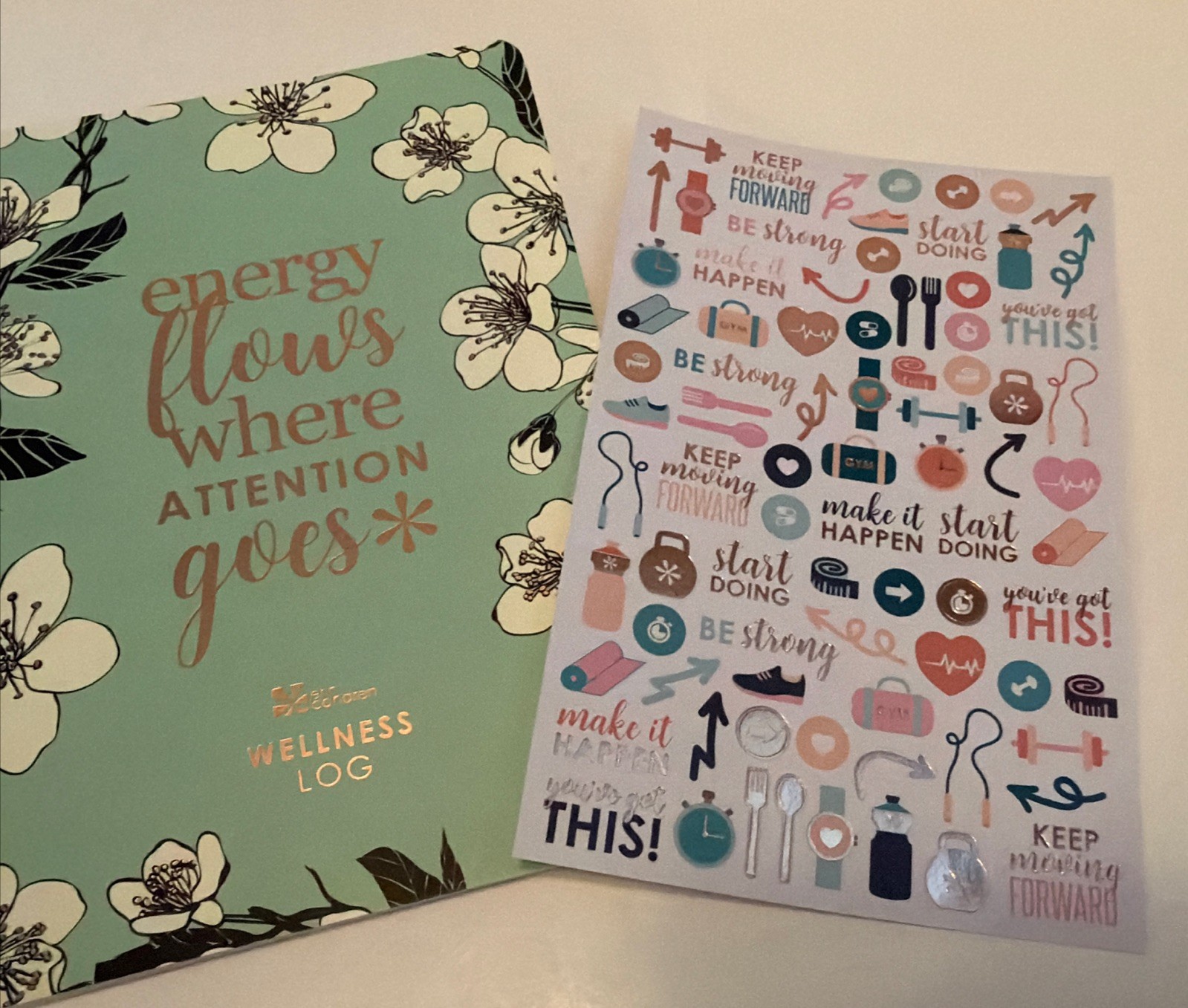 Erin Condren Lot 3 Daily Wellness Log Goals Planners A5 With Stickers *Read*
