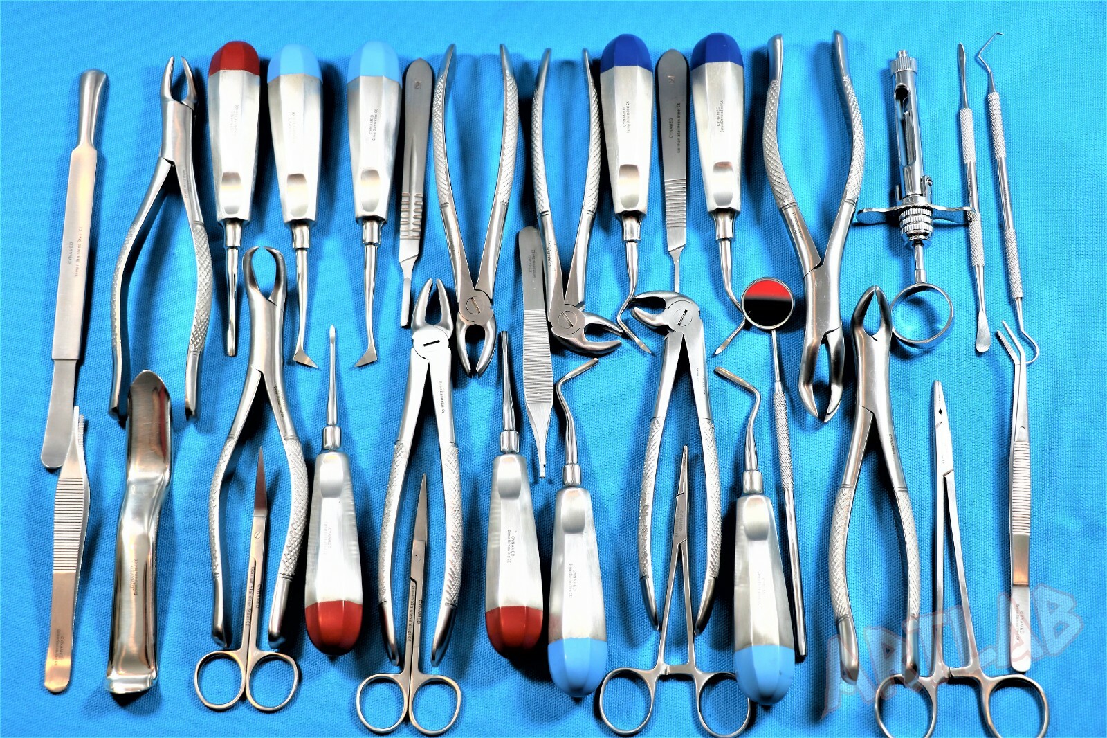 GERMAN 32 Oral Dental Surgery Extraction Extracting Elevators Forceps Instrument