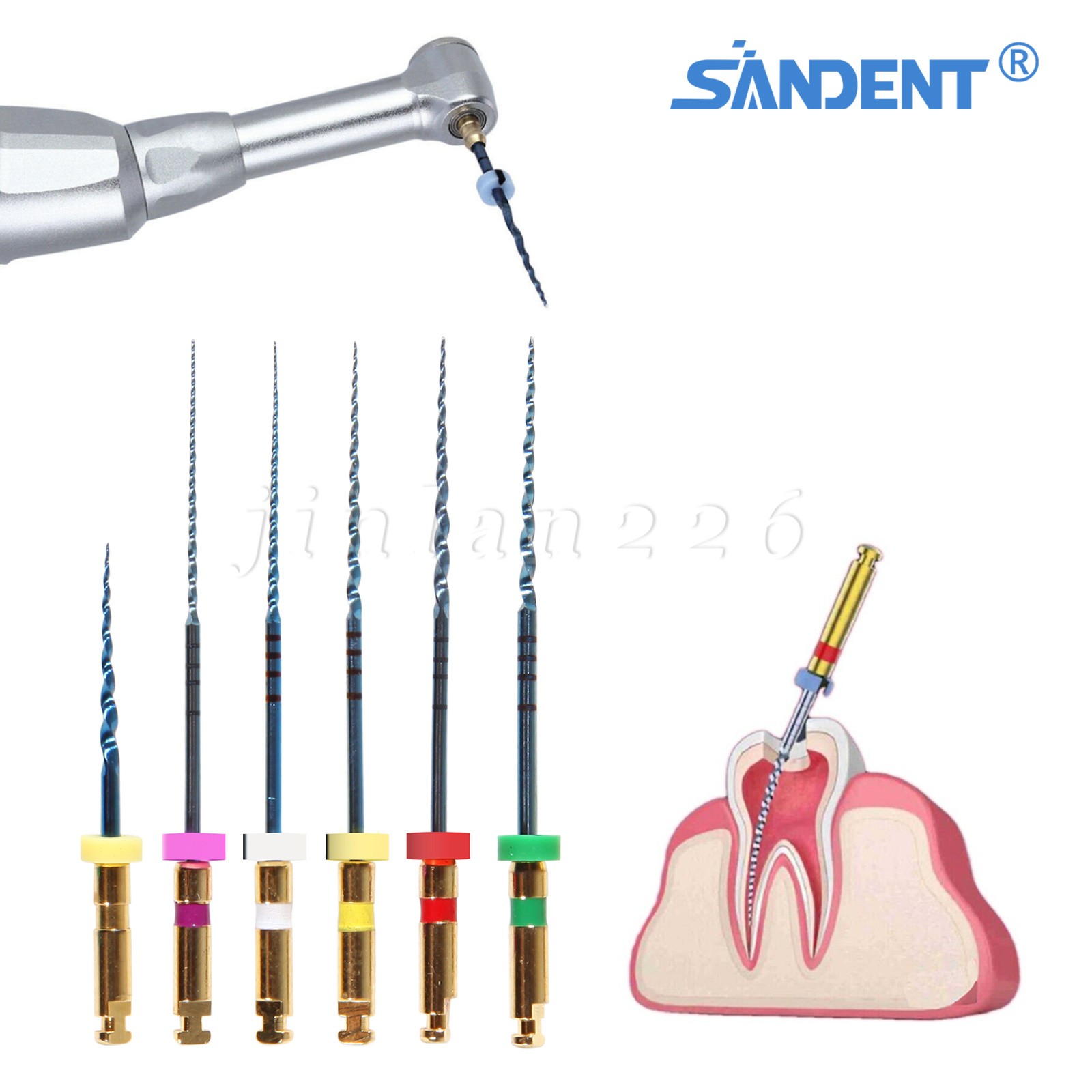 Dental Endodontic Rotary Taper Endo 6Pc Engine NITI Files 21/25/31MM