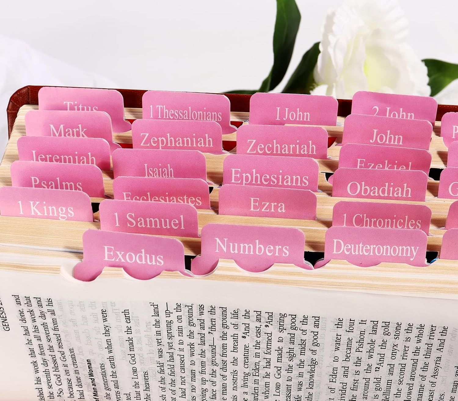 Pink Bible Tabs for Women’s Bible Study – Cute Pink Index Tabs for Bible Chapter