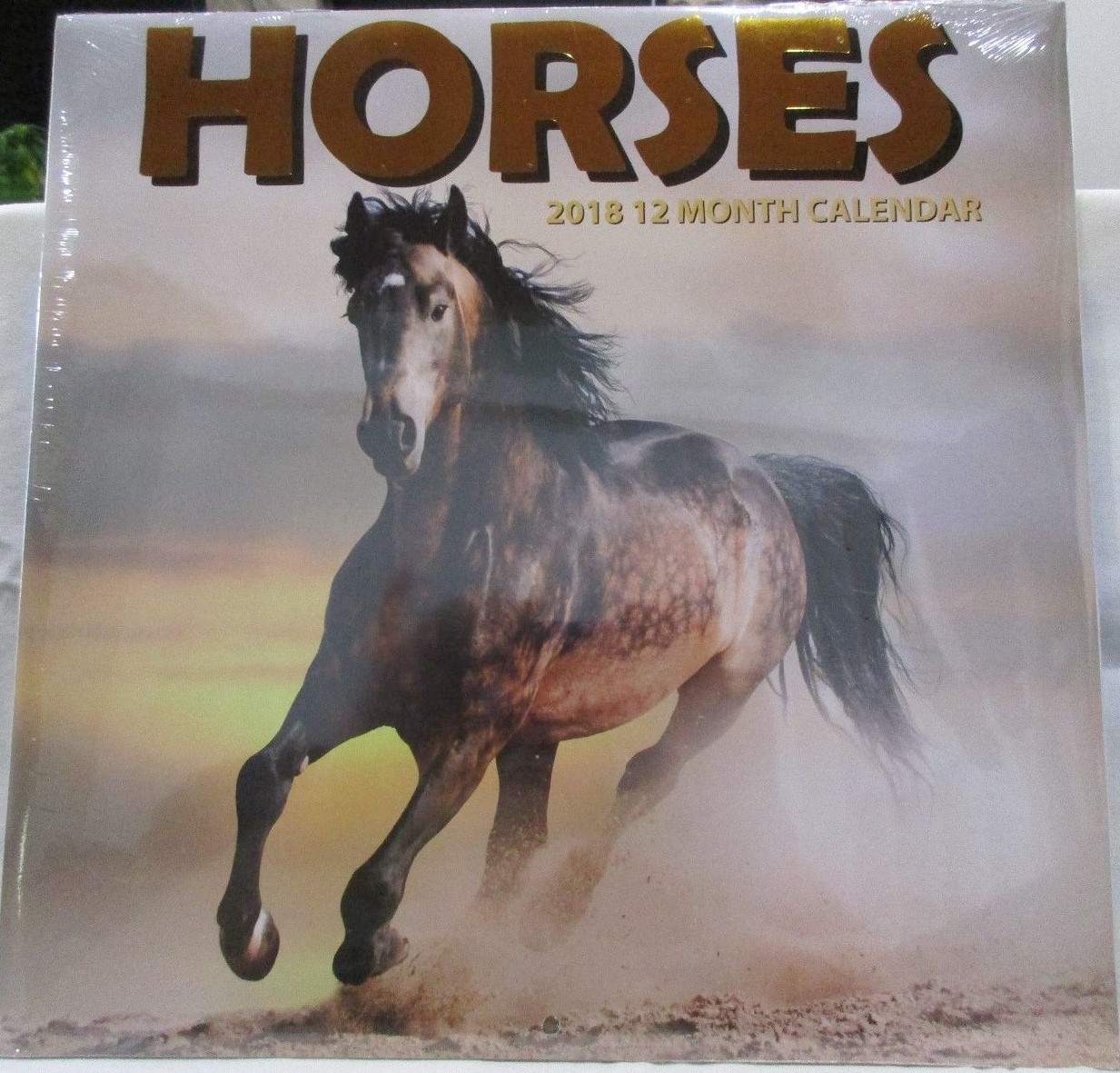 Horses 2018 Calendar 12 Months Pinto Palemino Black Brown Race 12″ X 12″