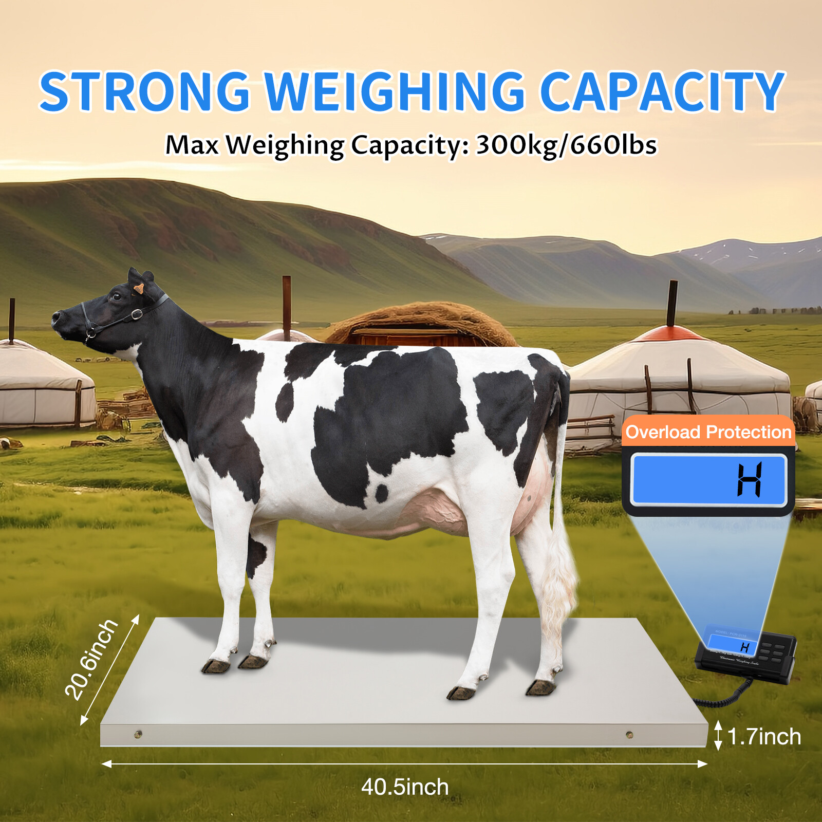 Veterinary Scale 660lb x 0.2lb PCR-3115 Livestock Floor Animal Pet Vet Scale US
