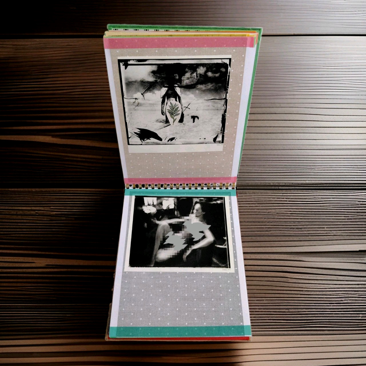 Human Body Anatomy Nudes Artsy Junk Journal Handcrafted Book 48 Pages