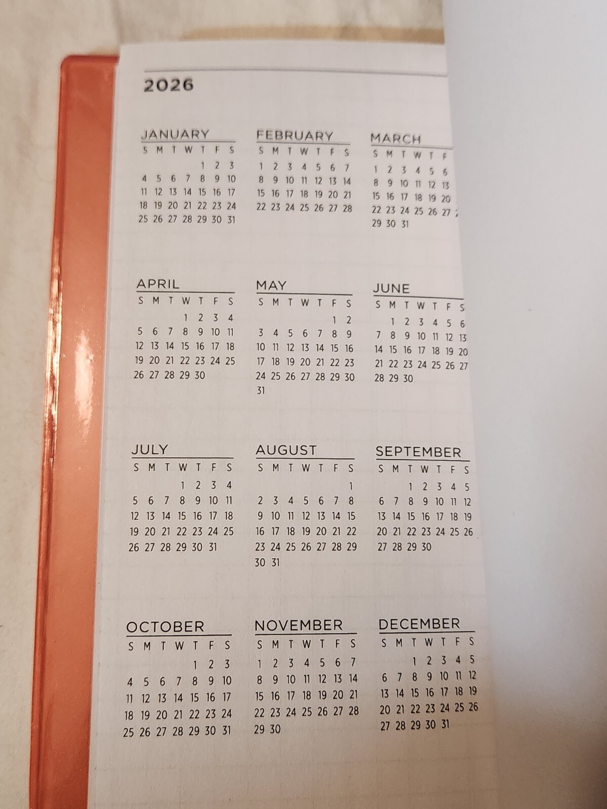 NEW 2025 Pocket Calendar – 2025 Pocket Planner from 01/25 to 01/26 – Peach