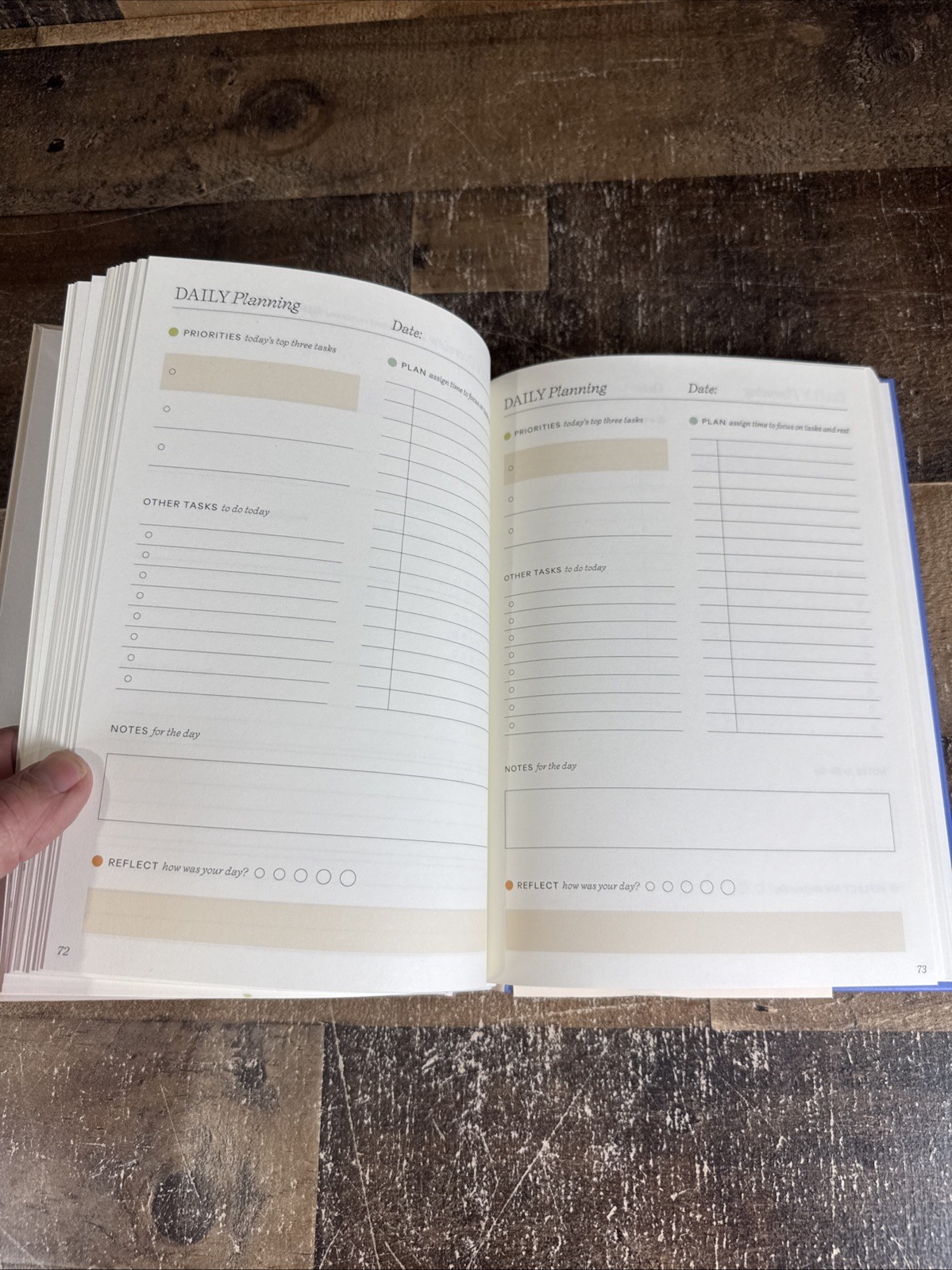 BRAND NEW PAPIER Blue & Cream Start Fresh Everyday 16 Week Productivity Planner