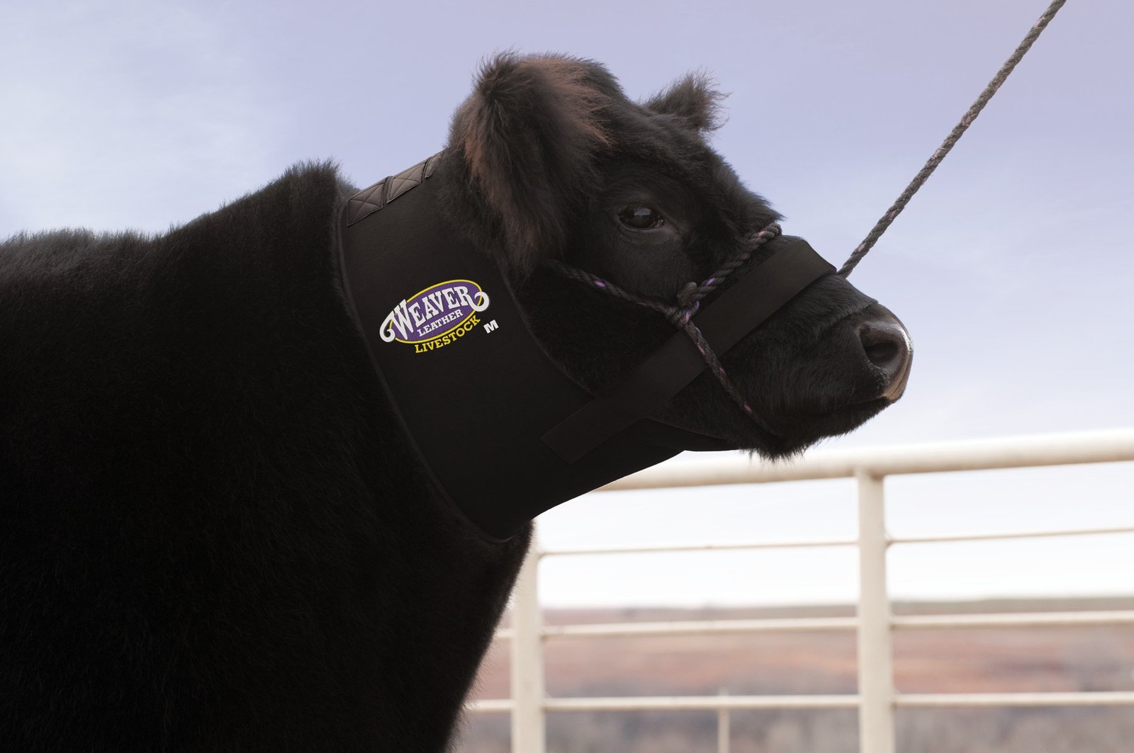 Weaver Leather Livestock Cattle Neck Sweat