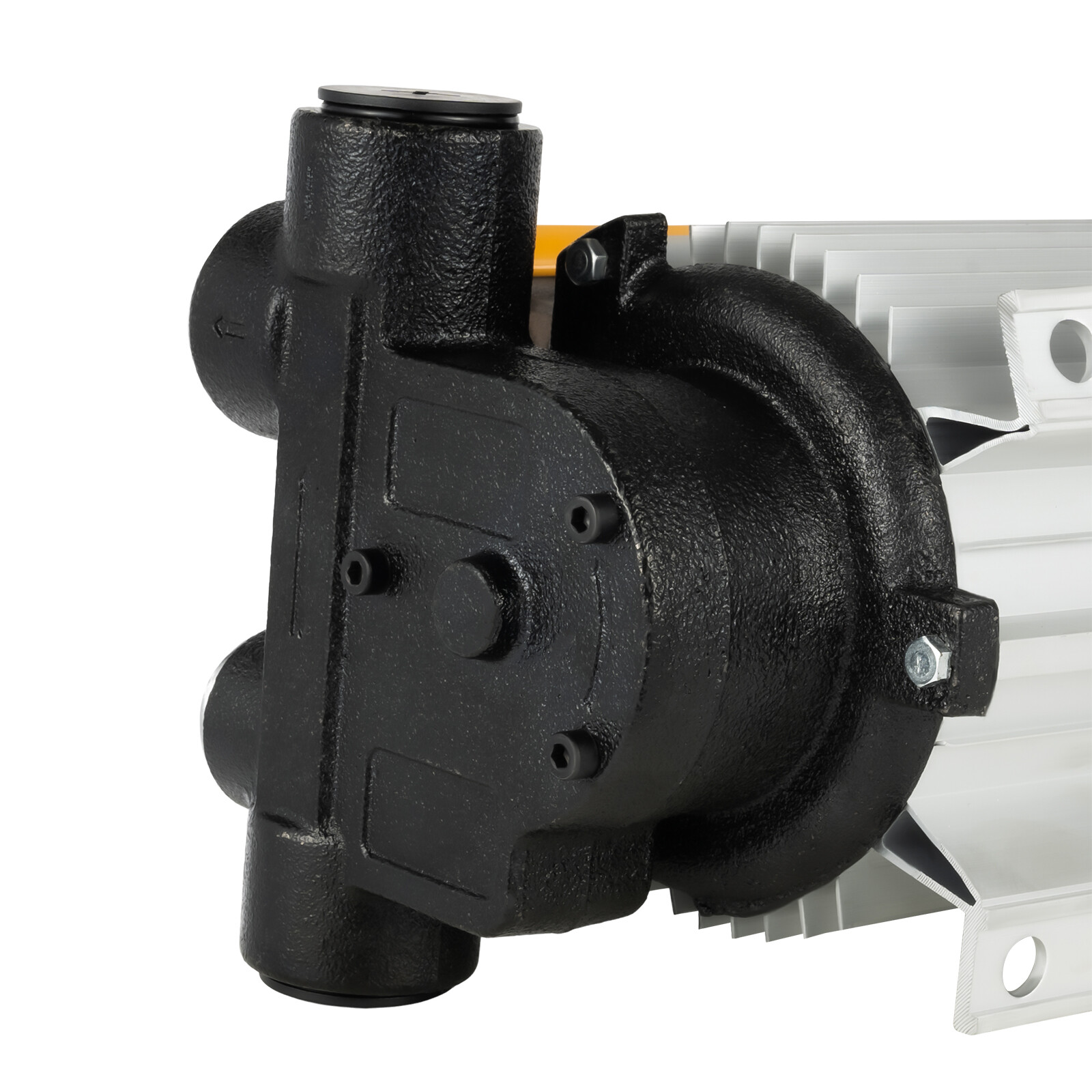110V Motor Oil Fuel Fluid Extractor Electric Transfer Pump Self Priming