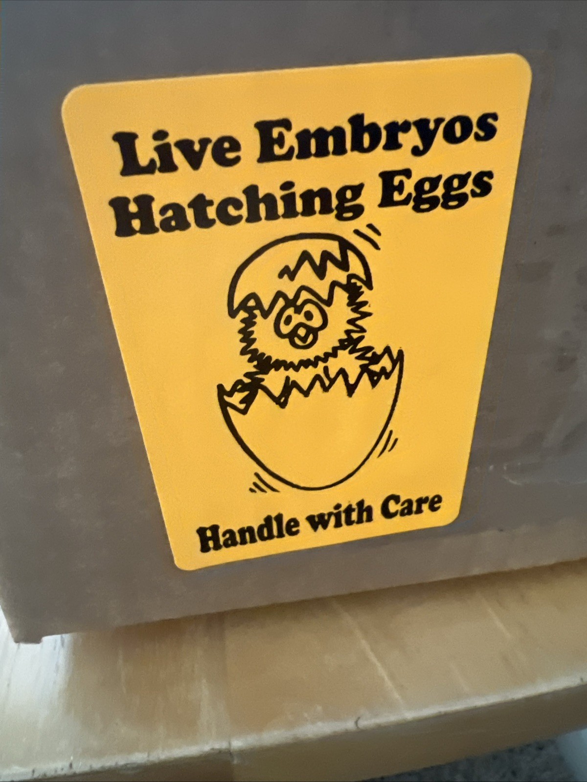 32+4 extra Jumbo Coturnix Quail Hatching Eggs( Brown, Tuxedo, Cinnamon, White )