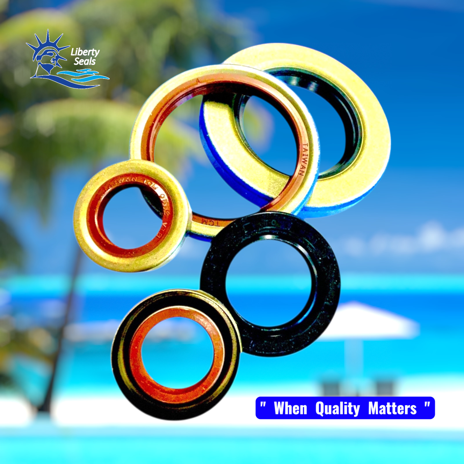 TCM 26334TA-BX 75011076, 75011077, REPLACES SKF 26153 OIL SEALS BELOW