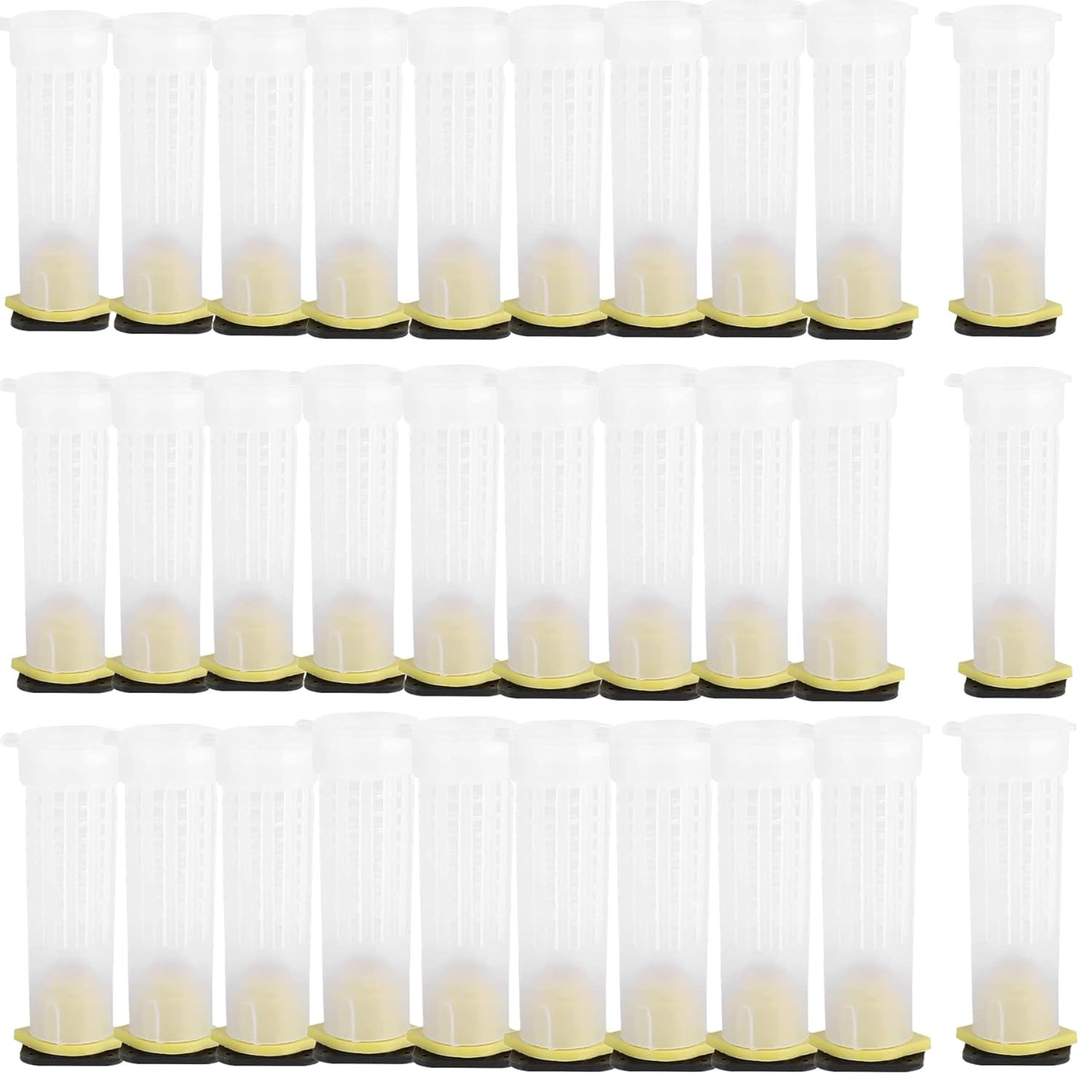 30Pcs Queen Bee Roller Cages -Plastic Beekeeping Rearing Cup Kit Queen Bee Rolle