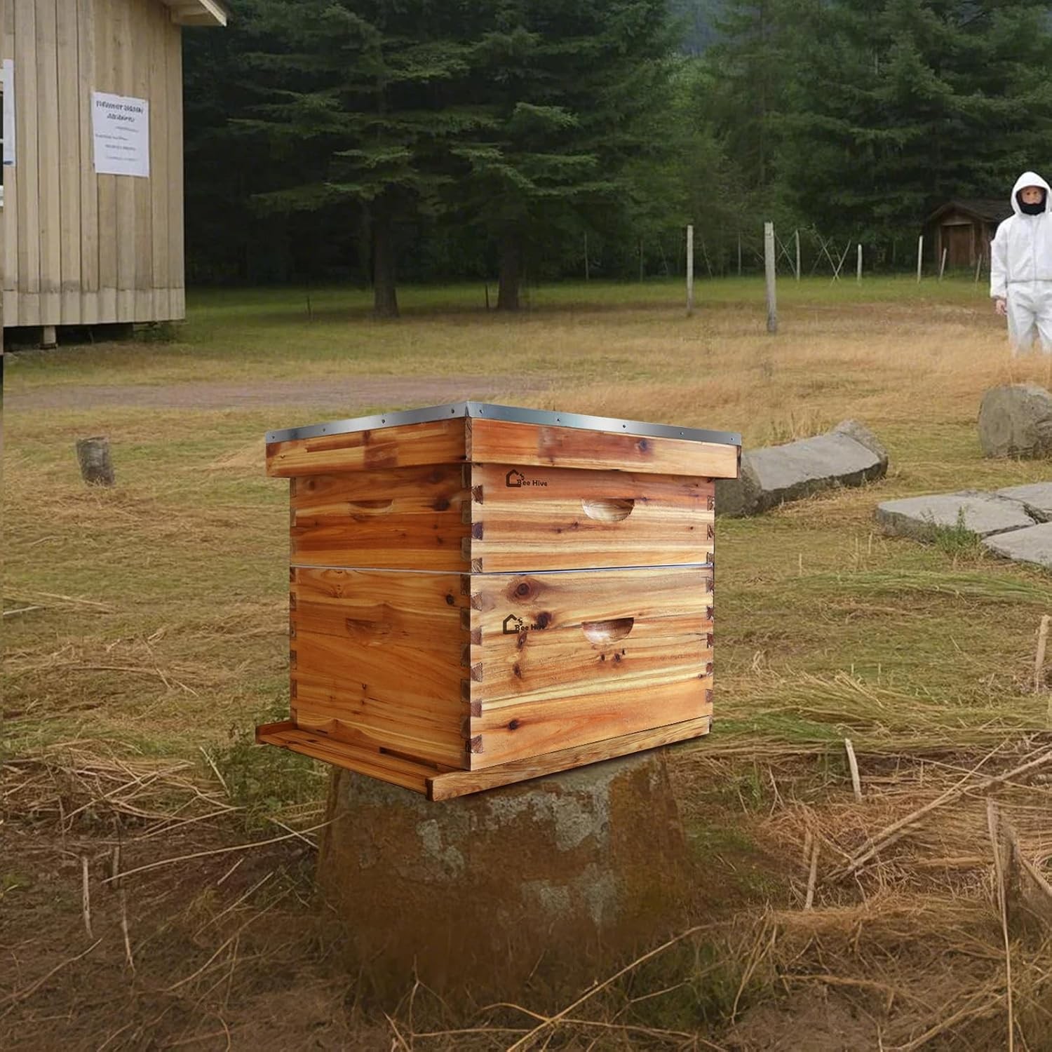 Beehive 20 Frame Complete Box Kit (10 Deep-10 Medium) Langstroth Beekeeping