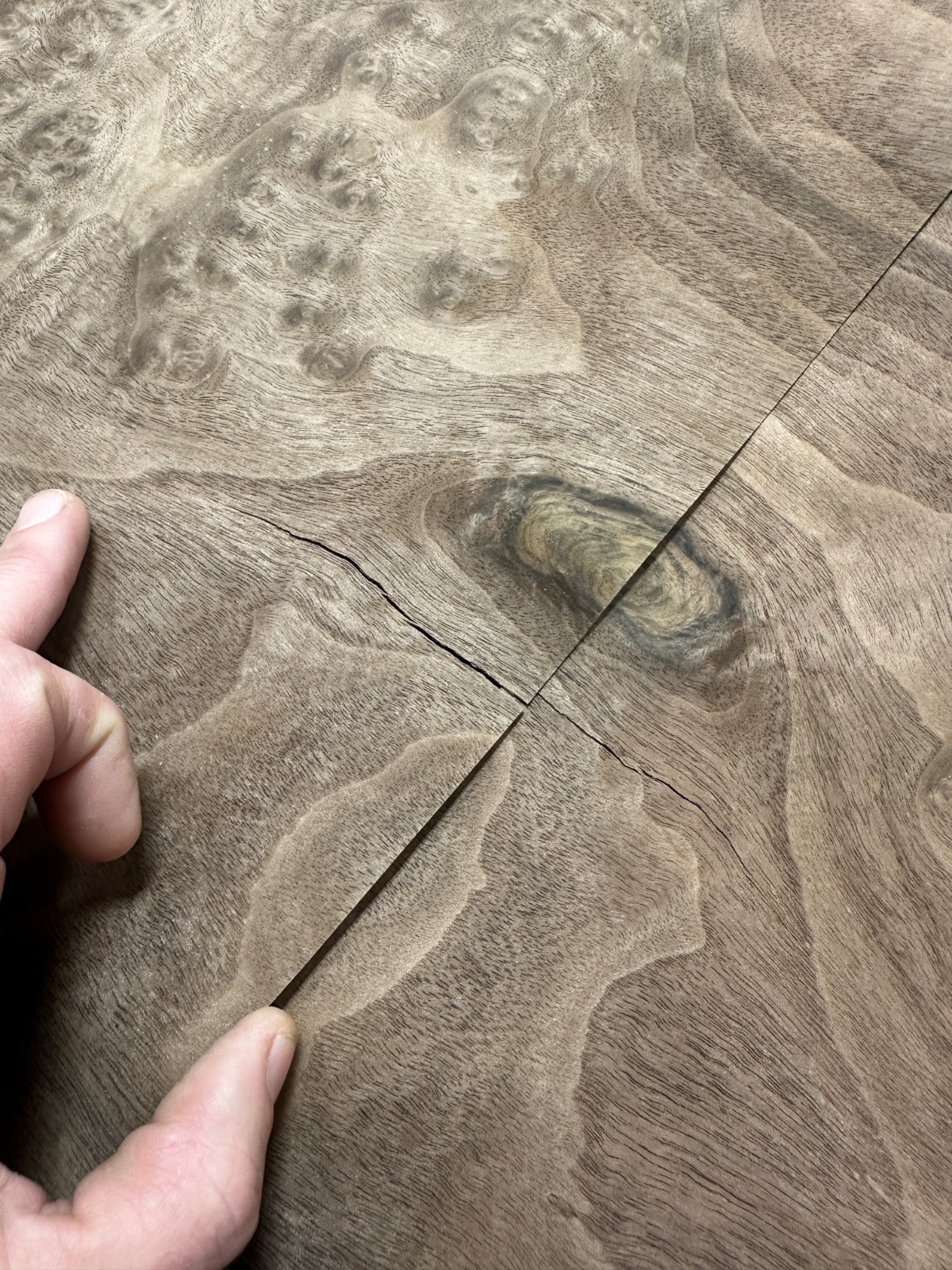 Walnut Burl Raw Wood Veneer 2 sheets 50″ x 18″ 522E