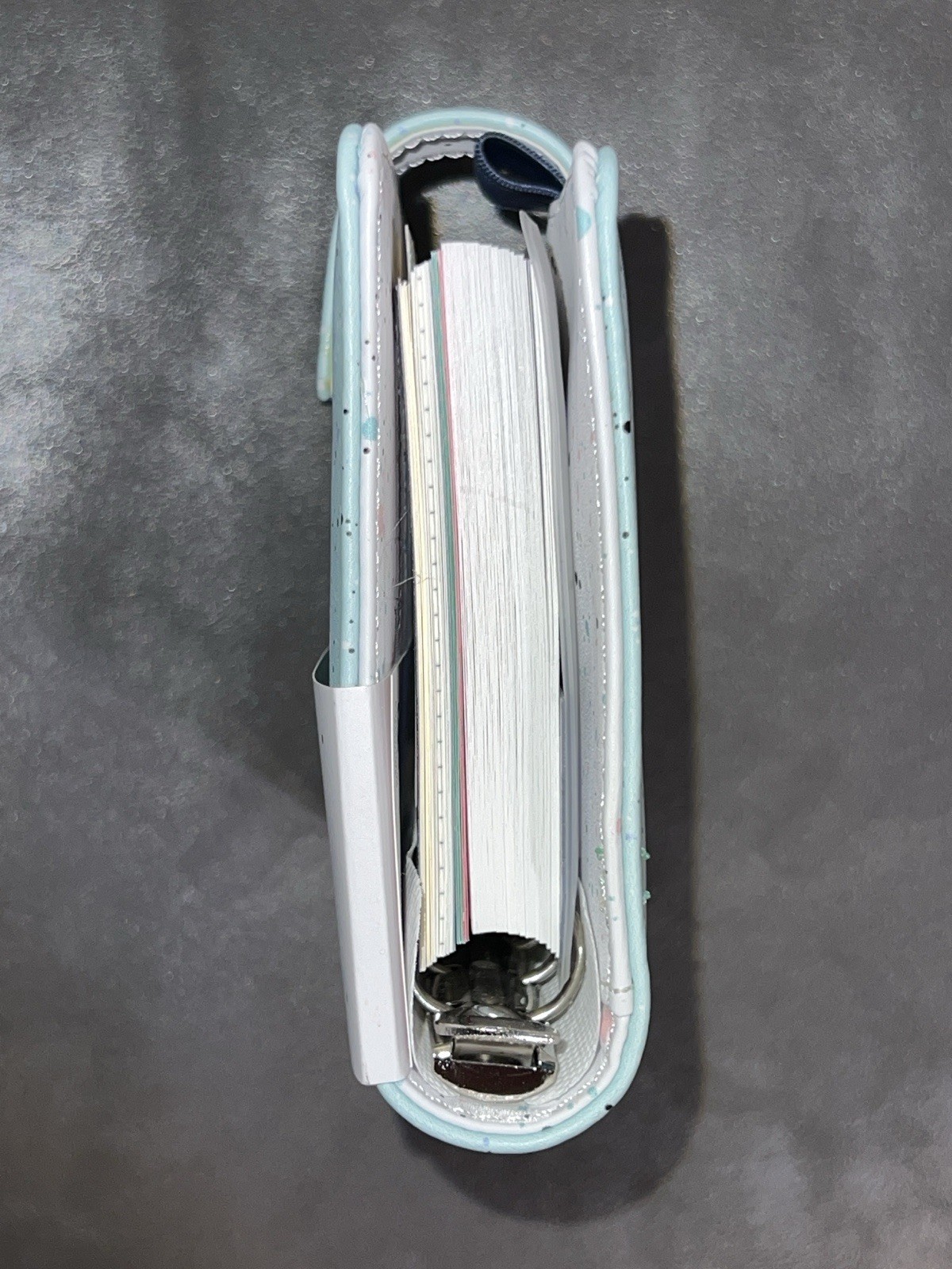 Filofax Expressions Mint Pocket Size Organizer Planner Ring Binder 2024 NWT!