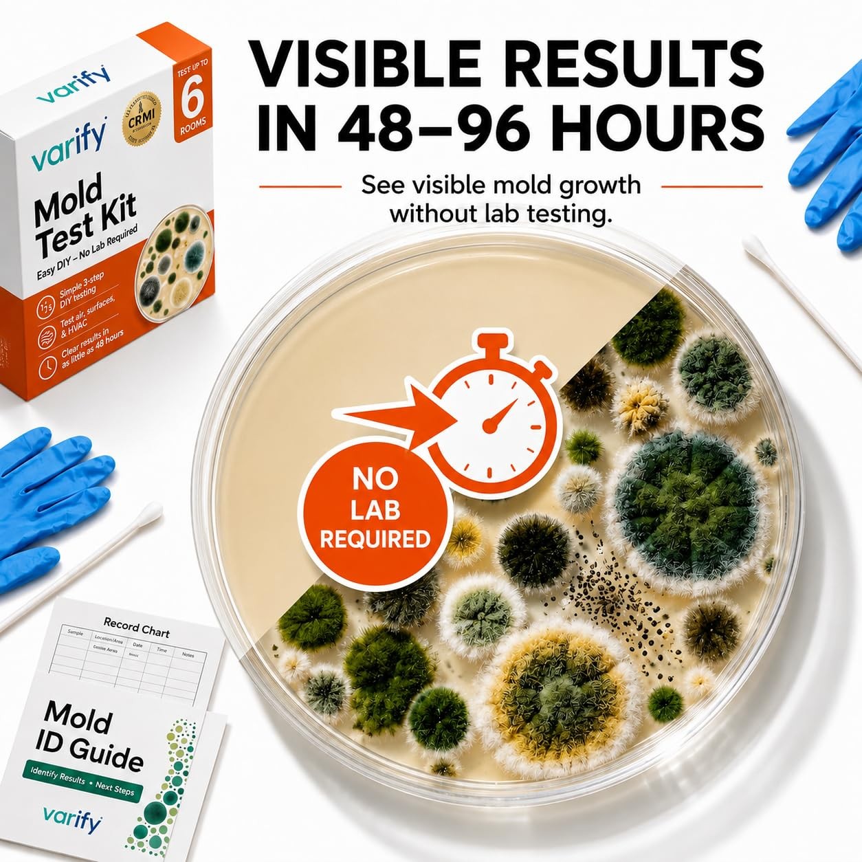 Mold Test Kit for Home Air Quality | Air Quality Test Kit & Black Mold Detect…