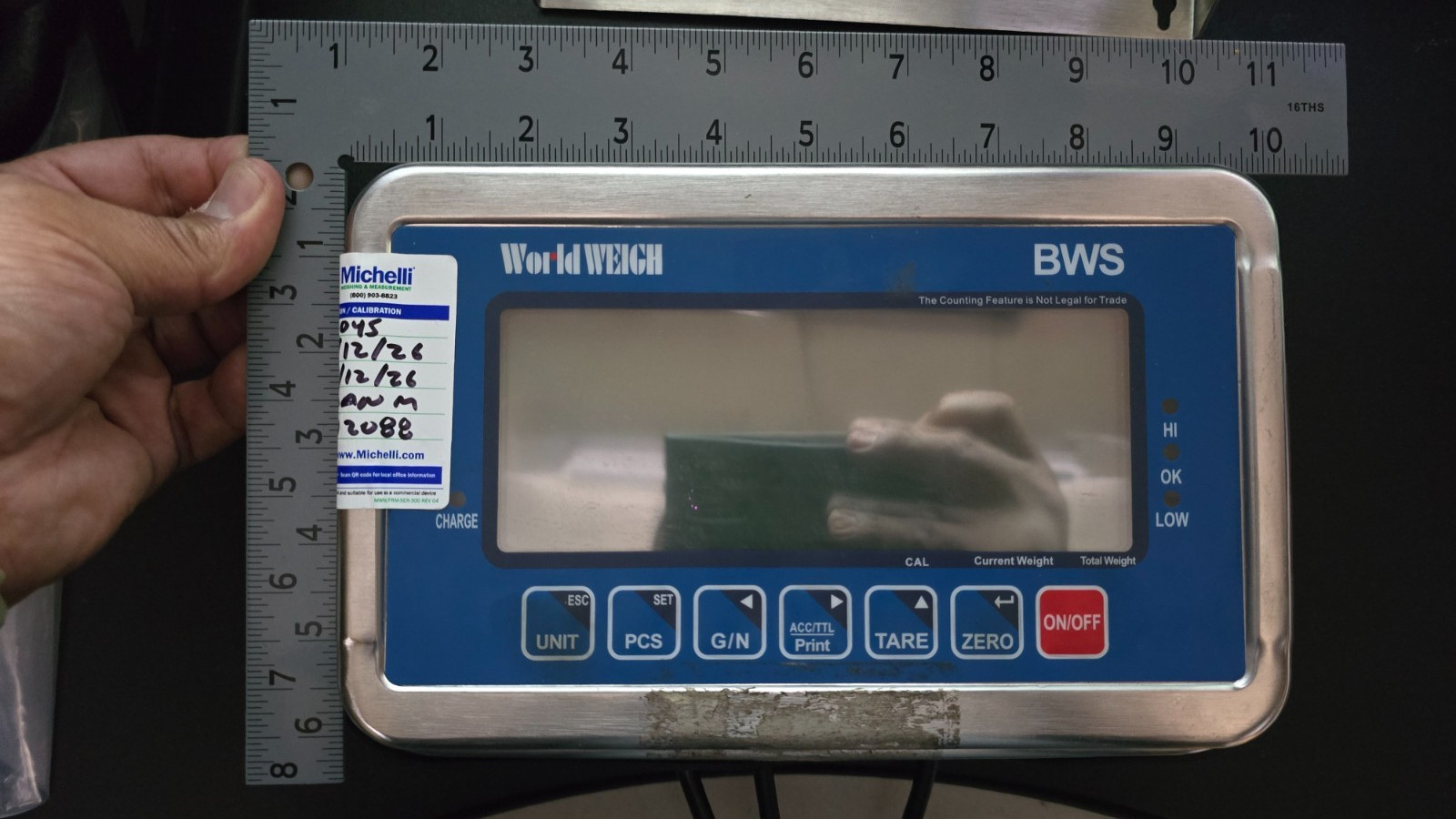 WorldWEIGH BWS Weight Indicator LCD Display B-Tek Stainless Steel Lbs Kg Check