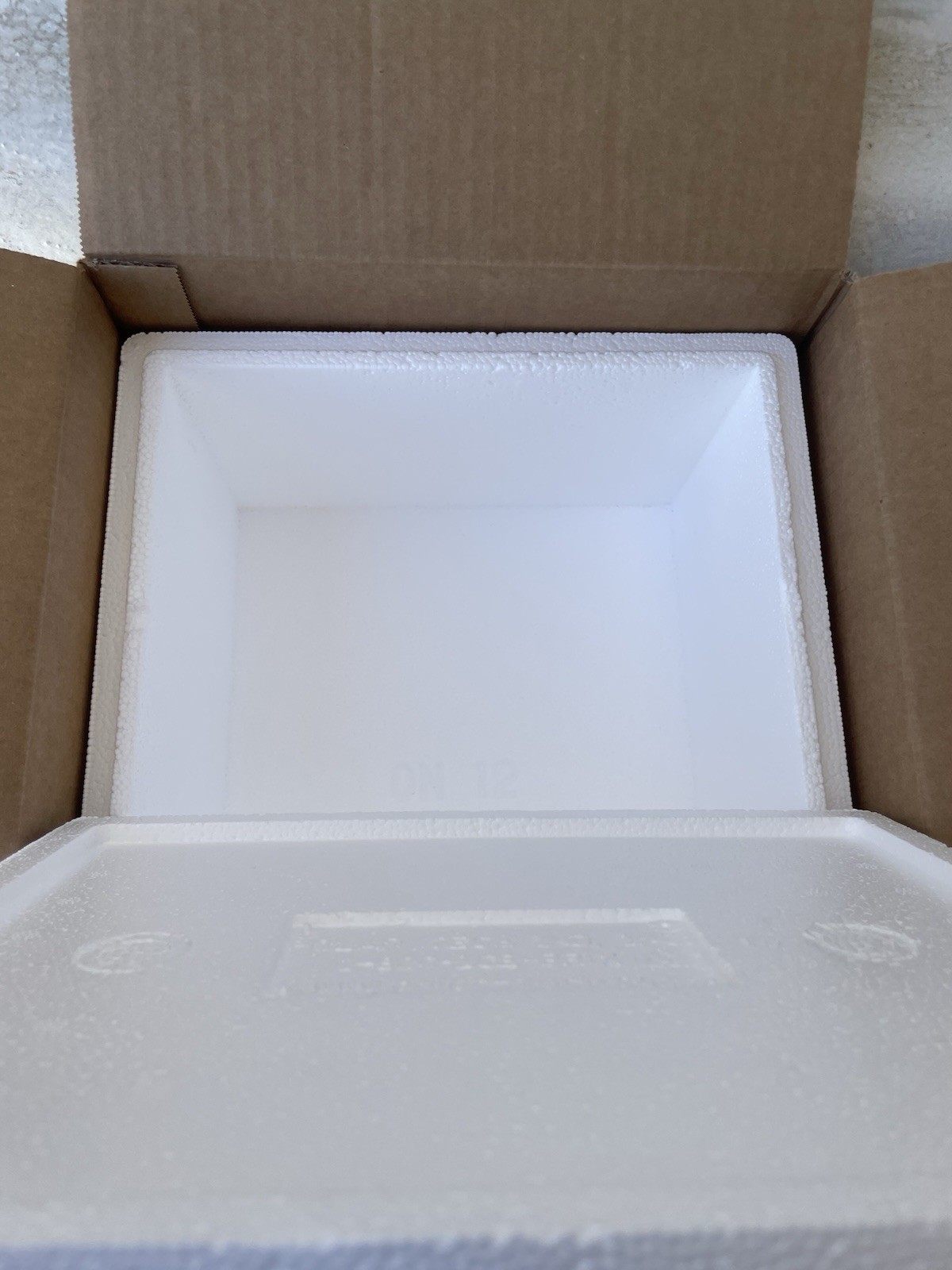 Uline Insulated Foam Shipper Box Cooler Meds Food Taxidermy, Includes Cold Packs