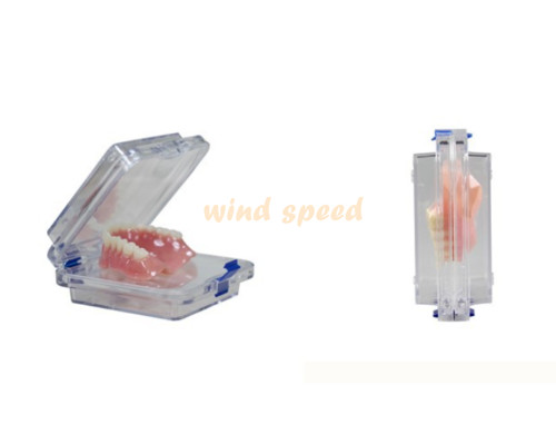10x Denture False Inlay Teeth Membrane Case Hinged Display Jewelry Box 10x10x4cm