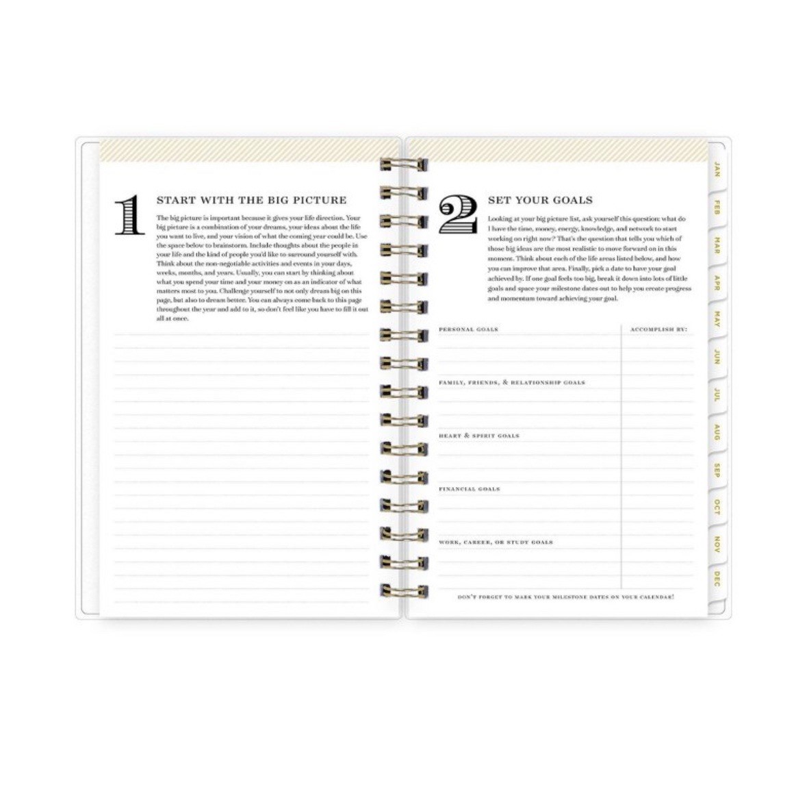 Day Designer 2025 Daily/Monthly Planner 8.15″x6.38″ Wirebound Rugby Stripe Mint