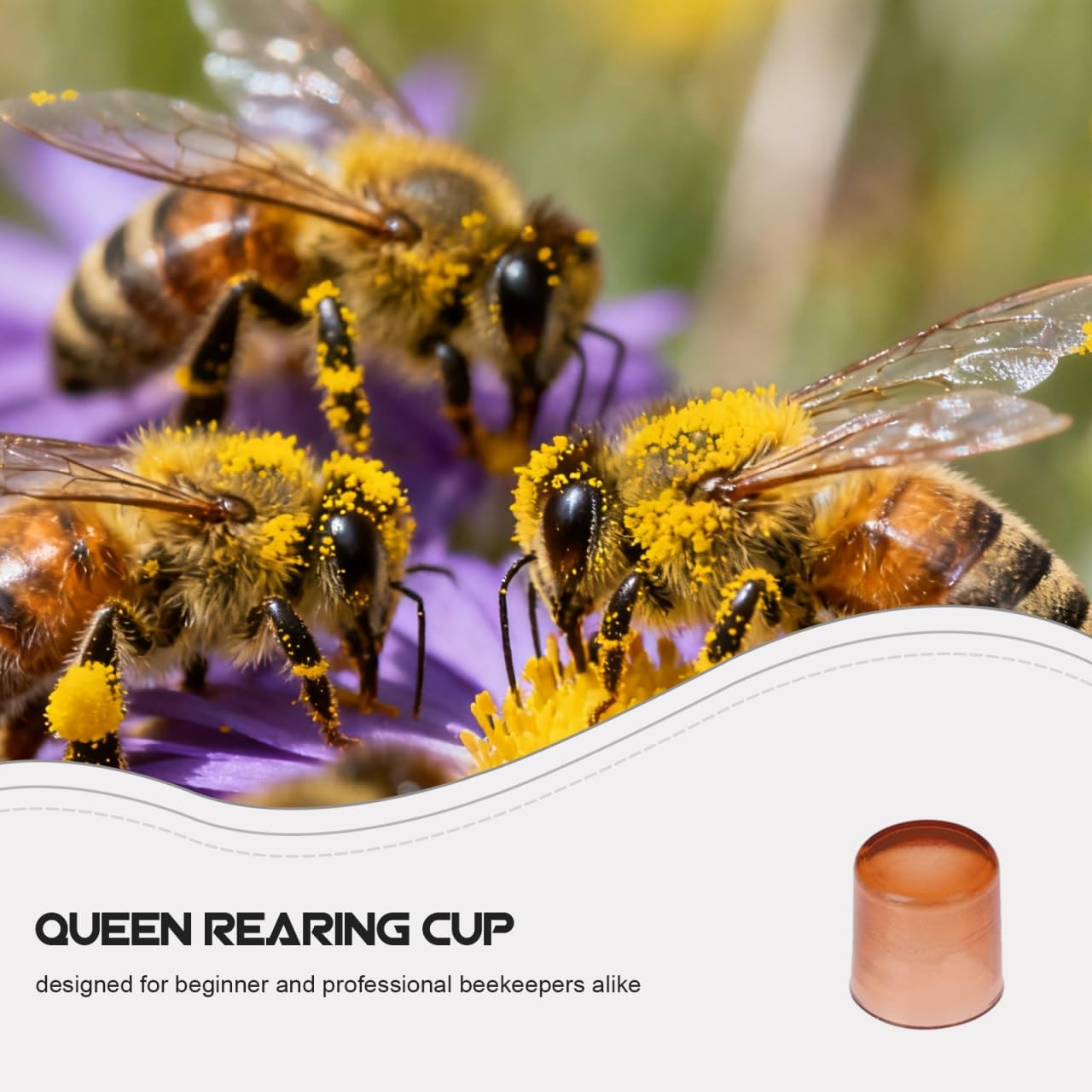 Queen Rearing Cupsk, 2000 Pack Plastic Bee Breeding Cups for Queen Cell Reari…