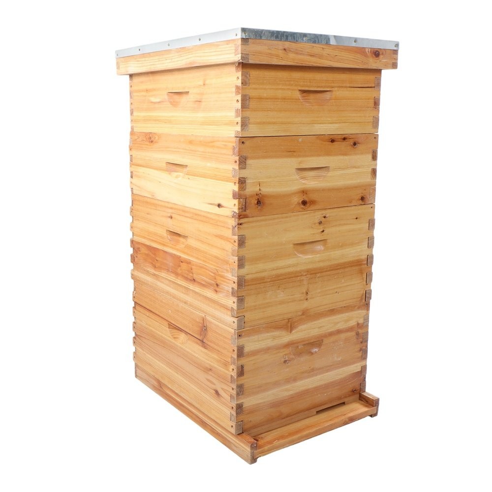 4 Layer 8 Frame Bee Hive Beeswax Coated Includes Beehive Frames and Foundations