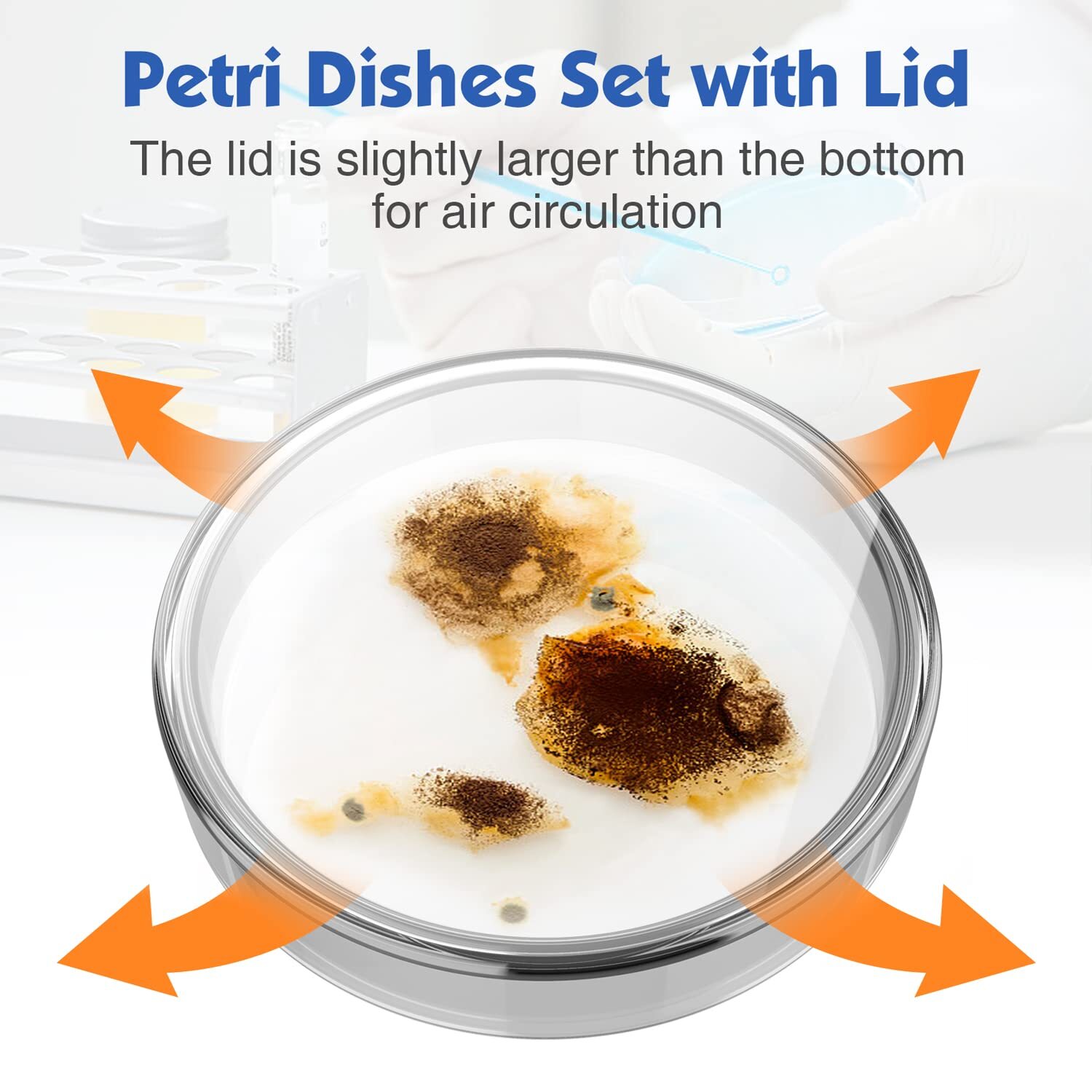 60/90/100mm Glass Petri Dishes with Lids Autoclavable Lab Petri Plates Reusable