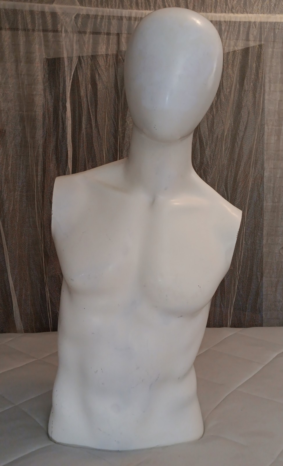 Male Egghead Torso Mannequin – Armless Display Form – Mannequin Like Display