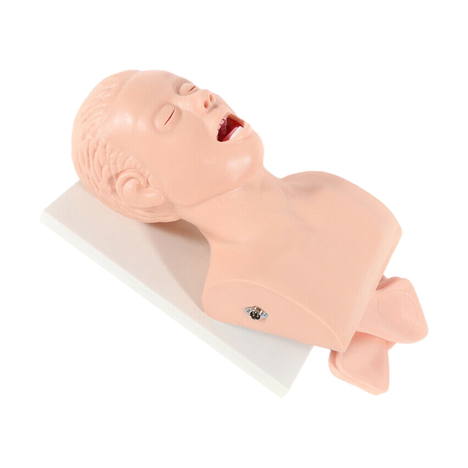 Airway Management Trainer Study Adult Oral Intubation Manikin Teaching Model NEW