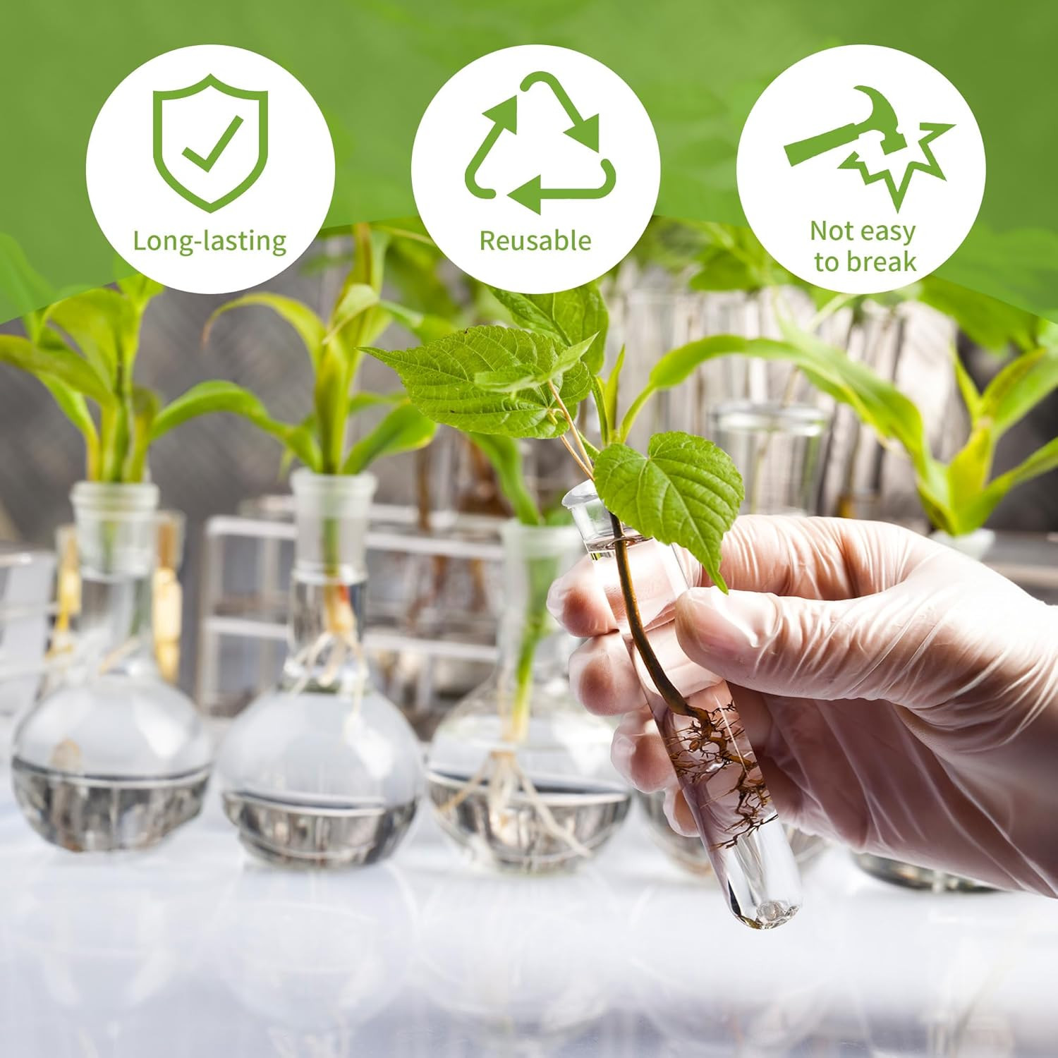 20 Pcs Clear Test Tubes for Plants Acrylic Plant Propagation Tube with Brush Pla