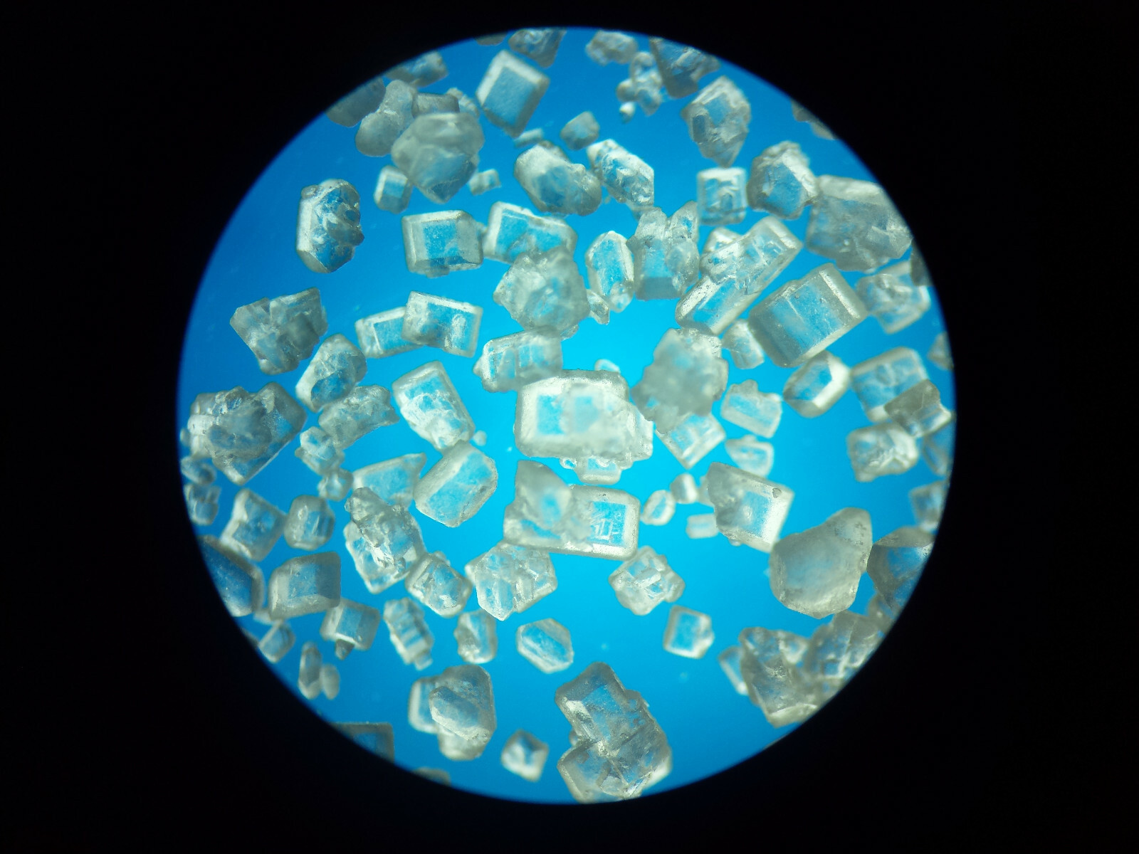32mm Rheinberg Filters + Darkfield + POLARIZATION! Our Top End Package!