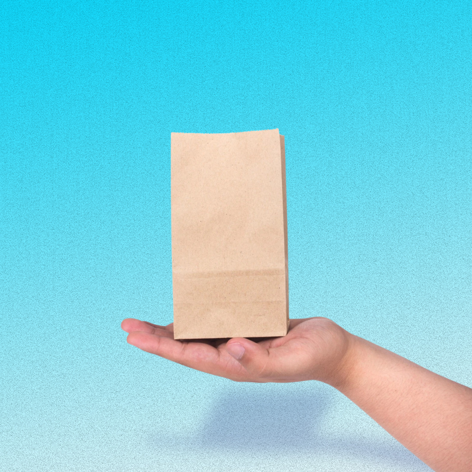 100 Pack – Mini Brown Kraft Paper Bag – Multipurpose Paper Bags ( 1LB ) Small