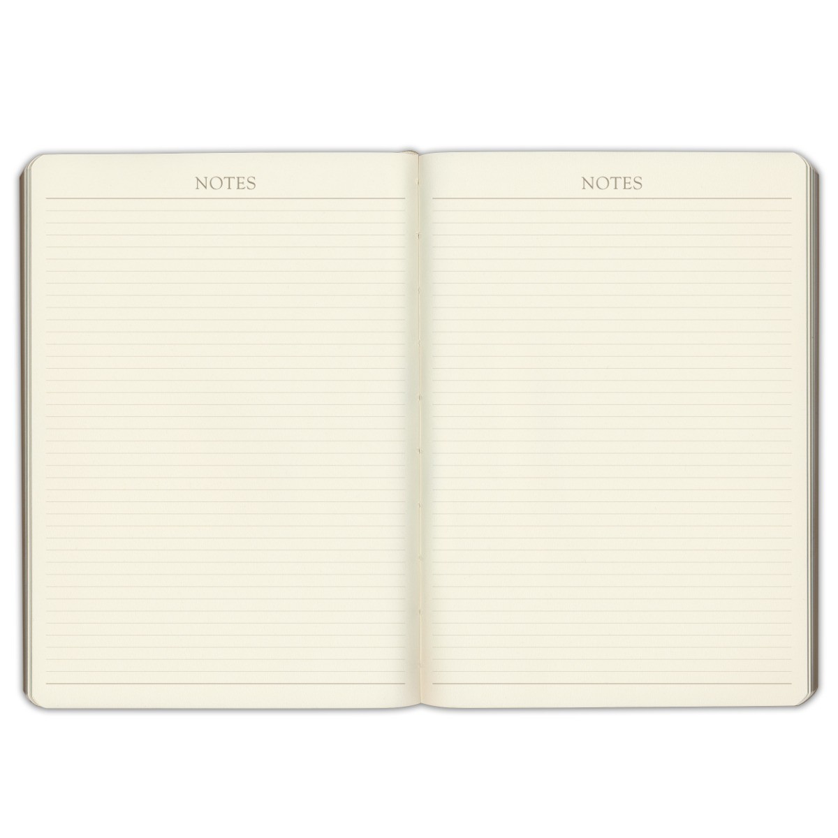 Gallery Leather Desk Hourly Weekly Monthly Planner 2026, Elegantly Bound Cale…