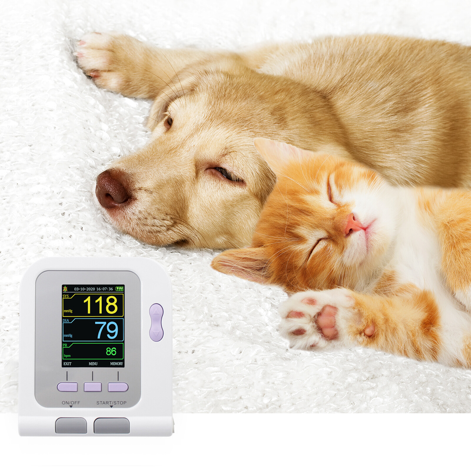 Vet Veterinary OLED digital Blood Pressure & Heart Beat Monitor NIBP CONTEC08A